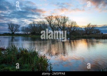 Der große Ouse River im Ely Country Park, Cambridgeshire, bei Sunrise Stockfoto