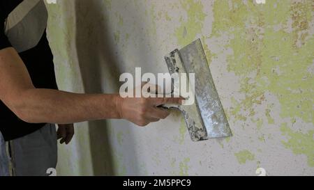 Ein Mann in grauen Kleidern mit einem alten Spachtel in der Hand steht an der Struktur einer verfallenen Zimmerwand, um die Reste von grüner Farbe abzuziehen Stockfoto