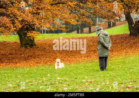 Parco del Valentino am Ufer des Flusses Po in Turin, Piemont, Norditalien - Europa - Herbstlandschaft Stockfoto