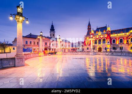 Oradea, Rumänien - wunderschöne Nachtszene mit Union Square, berühmtem Barock in der Innenstadt, weihnachtlich dekoriert. Reiseziel Siebenbürgen. Stockfoto