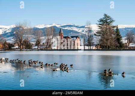 ISSI Frabra Musikschule, See von Puigcerda, mit Stockenten im Vordergrund, Anas platyrhynchos, Puigcerdà, Katalonien, Spanien Stockfoto