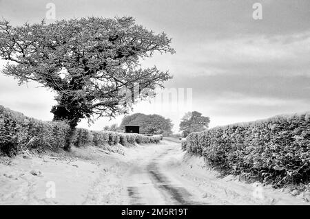 In ganz Großbritannien – Winer Scenes am Stadtrand von Chorley, Lancashire, Großbritannien Stockfoto