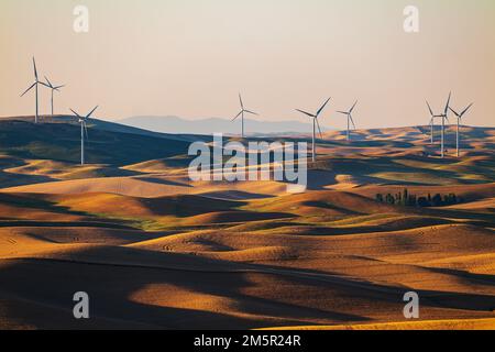 Windmühlen bei Sonnenuntergang auf hügeligem Ackerland; Region Palouse; Bundesstaat Washington; USA Stockfoto