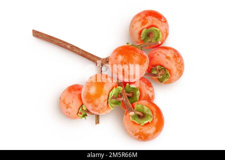 Persimonenfrucht am Zweig, isoliert auf weißem Hintergrund mit voller Schärfentiefe. Draufsicht. Flach verlegt Stockfoto