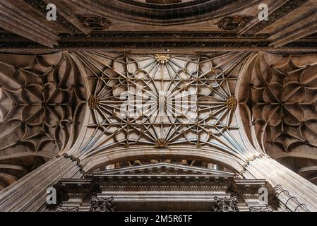 Salamanca, Spanien - 15. Januar 2022: Kathedrale von Salamanca. Innenansicht der Gewölbe Stockfoto