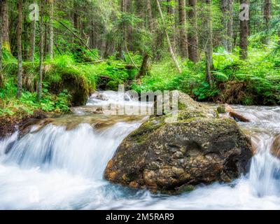 Der Fluss fließt sanft zwischen Felsen und grünen Blättern im Wald. Stockfoto