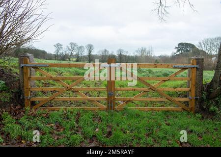 Holz, traditionell, Farm Field Gate, Landschaft, Jersey, Kanalinseln Stockfoto