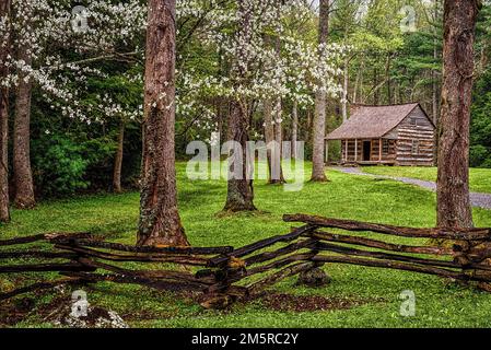 Das Carter Shields House ist eine der beliebtesten Haltestellen entlang der 14 km langen Cades Cove Loop, aber es ist nie schöner als im Frühling während der Stockfoto