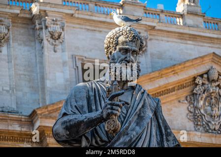 Die Möwe sitzt auf dem Kopf einer Petersstatue und hält Schlüssel, ein Symbol der Macht, vor dem St. Petersdom, Zentrum der katholischen Religion. Stockfoto