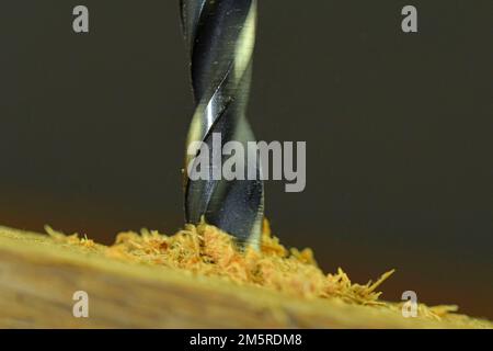 Rotierender Bohrer in Holz. Bohren Sie mit fliegenden Holzspänen. Konzept für Tischlerei, Handwerk, Heimwerker. Makro- und Nahaufnahme. Stockfoto