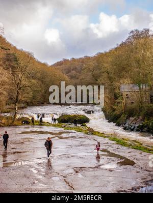 Cenarth Falls. Ceredigion, Westwales. UK Stockfoto