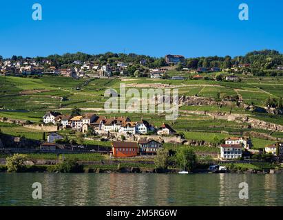 Blick vom Genfer See in der Schweiz im Dorf Rivaz und auf die zum UNESCO-Weltkulturerbe gehörenden Weinbergterrassen von Lavaux Stockfoto