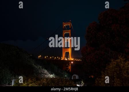 Beleuchtete Golden Gate Bridge in San Francisco, die bei Nacht durch Bäume gesehen wird Stockfoto