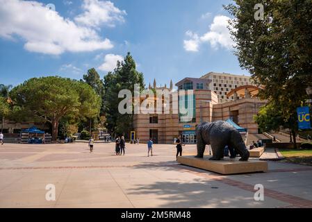 Blick auf die Bronze-Bruin-Statue mit Gebäude im Hintergrund auf dem UCLA-Campus Stockfoto