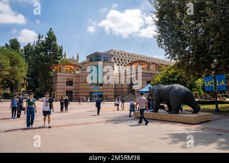 Blick auf die Bronzestatue Bruin und die Studenten, die auf dem Campus der UCLA spazieren gehen Stockfoto