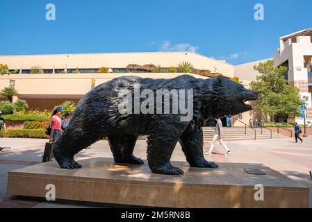 Bronzestatue von Bruin vor dem UCLA-Gebäude auf dem Campus Stockfoto