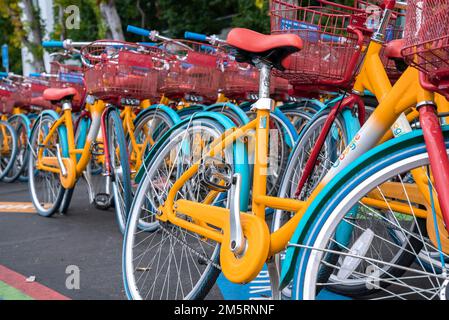 Detailaufnahme von blauen und gelben google Bikes, die auf dem Parkplatz auf dem Campus geparkt sind Stockfoto