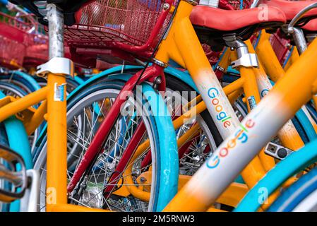 Detailaufnahme des Logos auf google-Fahrrädern, die auf dem Parkplatz auf dem Campus geparkt sind Stockfoto