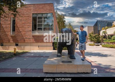 Ein erwachsener Mann, der sich an der Bruin-Statue auf dem Campus der UCLA posiert Stockfoto