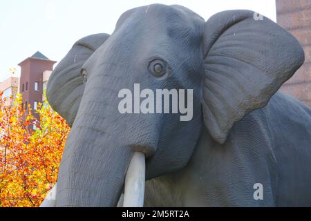 Ein Mammut aus einem Museum in Bäumen. Kopf und Hupe im Nahbereich. Im Naturkundemuseum Sehit Cuma Dag in der Türkei von Ankara Stockfoto