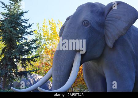 Ein Mammut aus einem Museum in Bäumen. Kopf und Hupe im Nahbereich Stockfoto