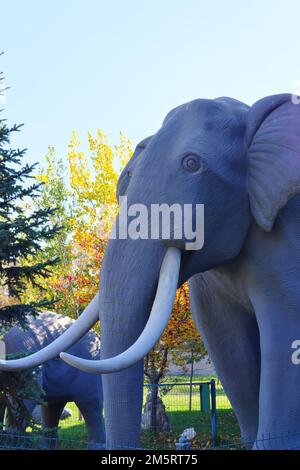 Ein Mammut aus einem Museum in Bäumen. Kopf und Hupe im Nahbereich Stockfoto