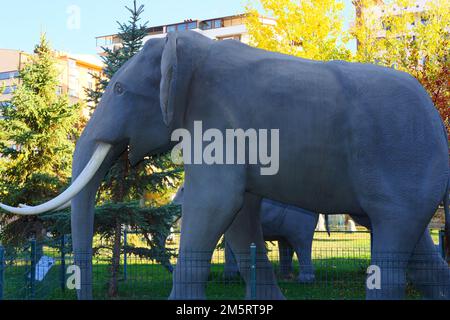 Ein Mammut aus einem Museum in Bäumen. Kopf und Hupe im Nahbereich. Im Naturkundemuseum Sehit Cuma Dag in der Türkei von Ankara Stockfoto