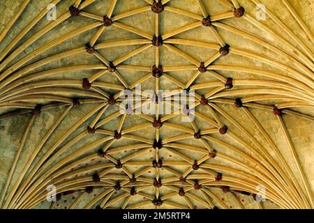 Ely Cathedral, Lady Chapel, lierne Gewölbedecke, mittelalterliche Architektur, Cambridgeshire, England Stockfoto