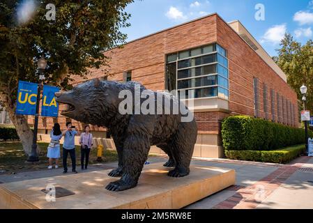 Mann, der auf dem UCLA-Campus mit einem Smartphone Bronzestatue von Bruin fotografiert Stockfoto