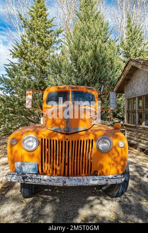 Die Vorderseite eines antiken Ford Truck aus dem Jahr 1946 in Nevada, USA Stockfoto