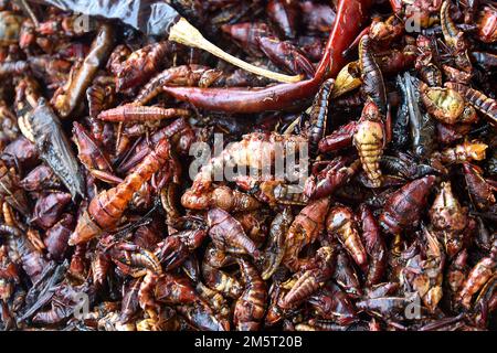 Chapulines, Grashüpfer, getrocknete Paprika, traditionelle mexikanische Küche, Straßenverkauf. Stockfoto