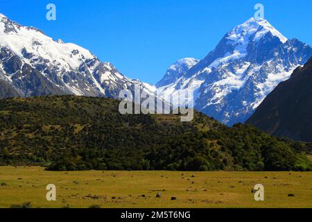 Hooker Valley Meadows und Mt Cook Massif, Südinsel Neuseeland Stockfoto