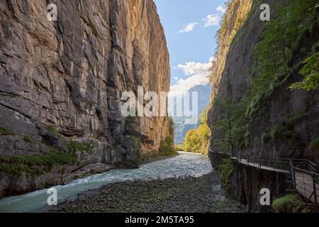 Die Aare-Schlucht in der Schweiz. Stockfoto