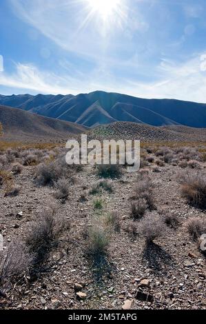 Wüstenlandschaft mit Hügeln, Death Valley, Kalifornien Stockfoto