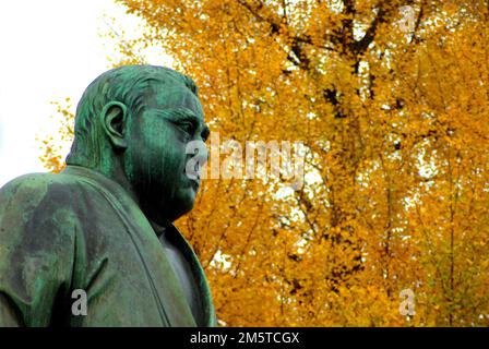 Statue des Samurai Saigo Takamori vor dem Ginkgobaum Stockfoto