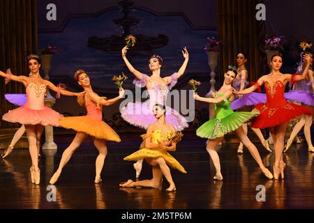 Melbourne, Florida, USA. 30. Dezember 2022. Das State Ballet Theatre of Ukraine arbeitet mit dem Melbourne City Ballet Theatre zusammen, das während seiner US-Tour im King Center in Melbourne, Florida, am Freitag, den 30. Dezember 2022 eine Aufführung des klassischen Balletts „Dornröschen“ vorführt. Foto: Joe Marino/UPI Credit: UPI/Alamy Live News Credit: UPI/Alamy Live News Stockfoto