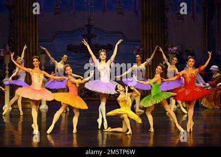 Melbourne, Florida, USA. 30. Dezember 2022. Das State Ballet Theatre of Ukraine arbeitet mit dem Melbourne City Ballet Theatre zusammen, das während seiner US-Tour im King Center in Melbourne, Florida, am Freitag, den 30. Dezember 2022 eine Aufführung des klassischen Balletts „Dornröschen“ vorführt. Foto: Joe Marino/UPI Credit: UPI/Alamy Live News Credit: UPI/Alamy Live News Stockfoto