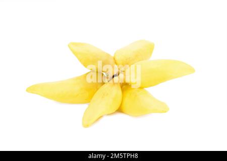 Blütenklettern Ylang-Ylang, Klettern ilang-ilang, Manorangini, Hara-champa kantali champa isoliert auf weißem Hintergrund. Stockfoto