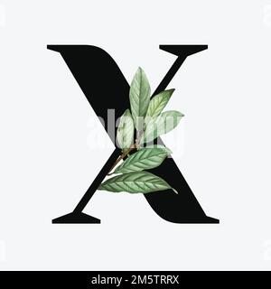 Botanischer Großbuchstabe X Vektor Stock Vektor