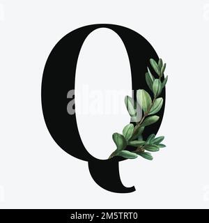 Botanischer Großbuchstabe Q Vektor Stock Vektor