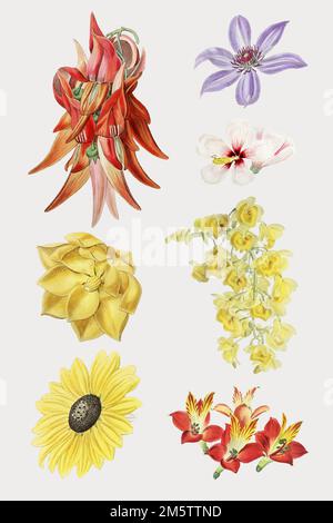 Farbenfrohes Blumenset, handgezeichnet, Vektor Stock Vektor