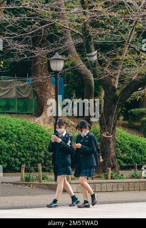 Junge Schüler machen einen Spaziergang im Ueno Park Stockfoto