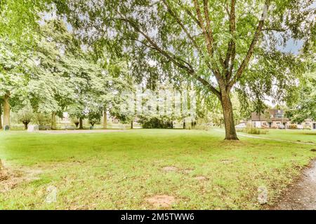 Ein Park mit Bäumen und Gras im Hintergrund ist ein Pfad, der zu einem Apartmentgebäude auf der anderen Seite führt Stockfoto