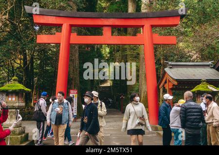 Berühmte Torii-Tore am Ashi-See in Hakone, Japan Stockfoto