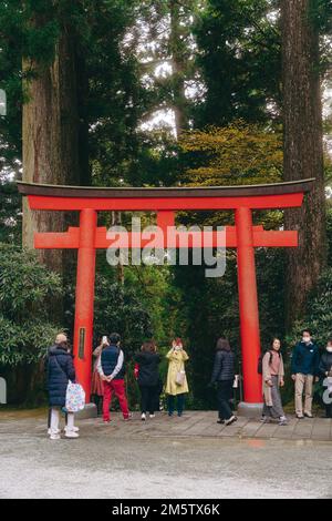 Berühmte Torii-Tore am Ashi-See in Hakone, Japan Stockfoto