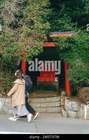 Berühmte Torii-Tore am Ashi-See in Hakone, Japan Stockfoto