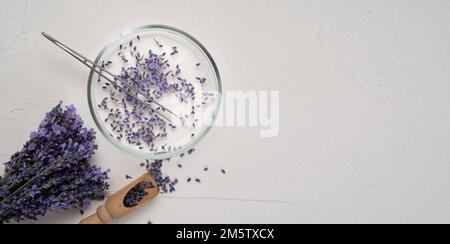 Strauß aus Lavendel, Petrischale und Pinzette auf weißem Betonhintergrund. Flach liegend, Draufsicht. Das Konzept der Alternativmedizin und Lavendel-reci Stockfoto