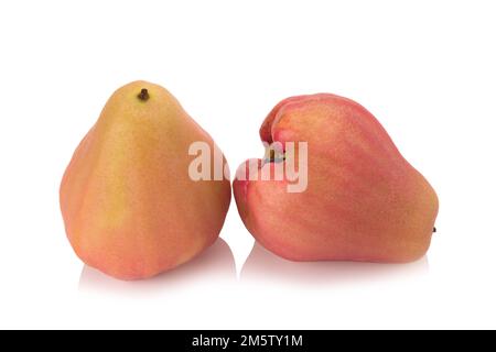 Rosenäpfel isoliert auf weißem Hintergrund. Stockfoto