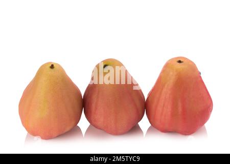 Rosenäpfel isoliert auf weißem Hintergrund. Stockfoto