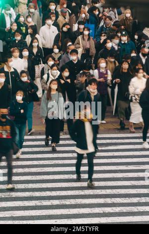 Menschenmassen überqueren die Straße an Shibuyas Streifzug Stockfoto